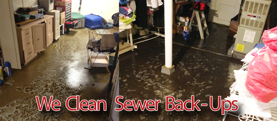 sewer back up basement clean up
